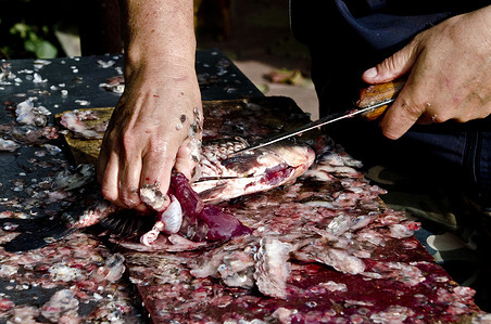Man slicing fish in a market. Fish is a staple diet in the Danube delta. Parasites in fish are a common natural occurrence.