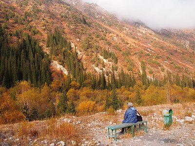 A person sitting on a bench, out within nature in Kyrgyzstan. They are facing a long upward slope, with some woodland at the base and mist shrouding the upper slopes. The landscape looks dry and stony but also verdant.
