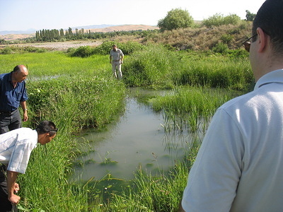 Three people investigating for signs of malaria near a grassy river bank. Checking for mosquitos in a wet field.